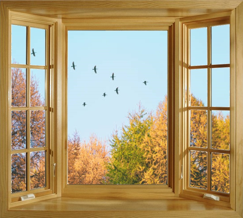 a view of migrating birds in the fall through a window
